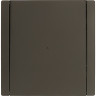 Выключатель 1-клавишный проходной IEK FORTEPIANO с индикацией 10А FP304 серый FP-V12-1-10-1-K03